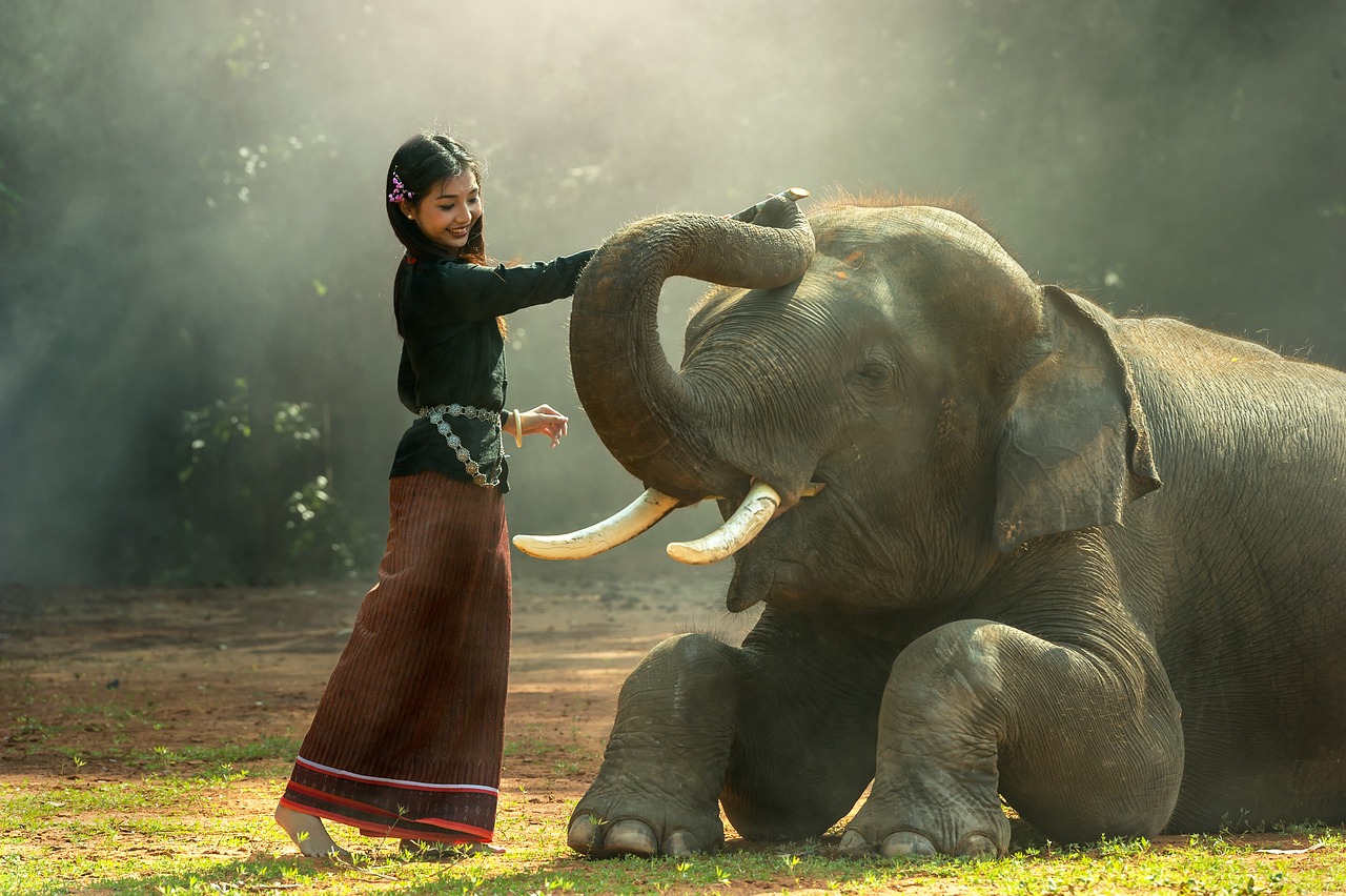 Elefante, leggenda del portafortuna - Donna di Fiori